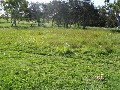 Large Vacant Land in Coral Cove Picture Large Vacant Land in Coral Cove Picture