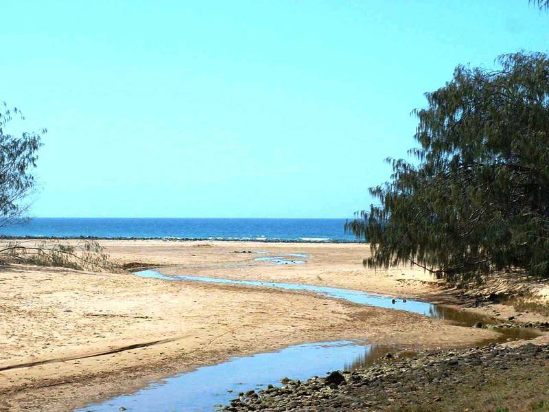 MAKE A TREE CHANGE Picture 3