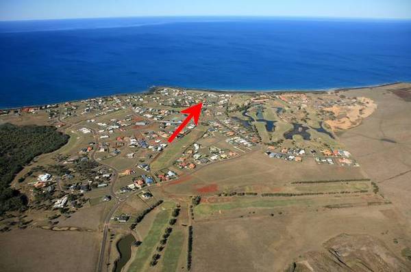 Vendors Must Sell Picture 2