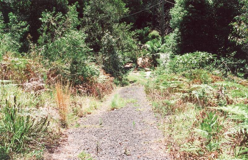 SHED ON ACRES Picture 1