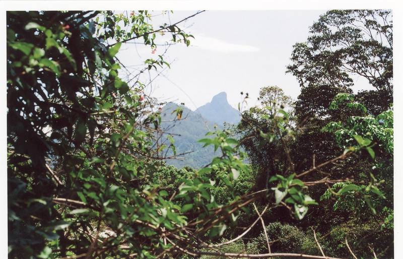 SHED ON ACRES Picture 2