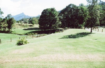 THE QUINTESSENTIAL PROPERTY Picture