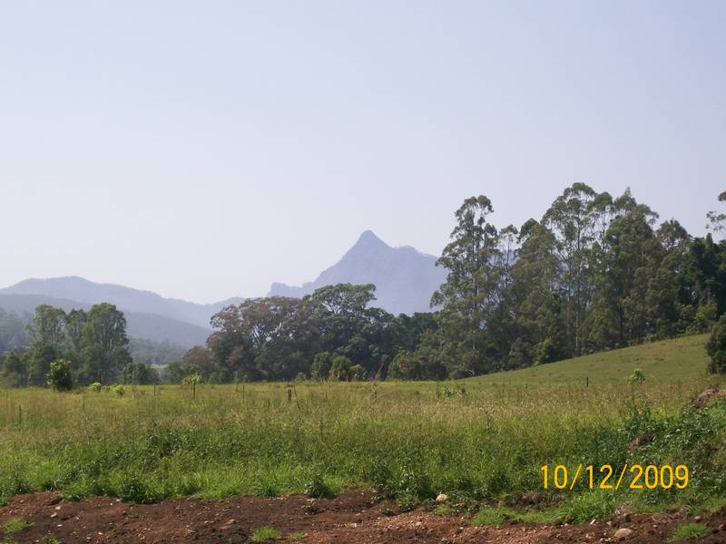 VACANT ACREAGE Picture 3