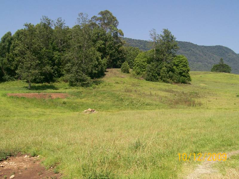 VACANT ACREAGE Picture 2