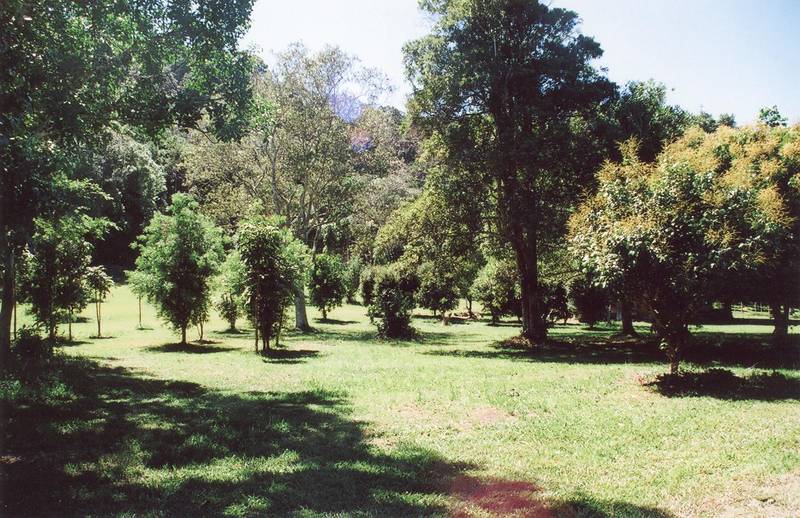 THE ULTIMATE ACREAGE Picture 3