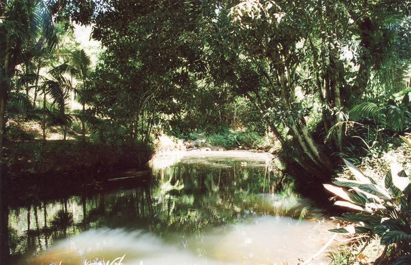 THE ULTIMATE ACREAGE Picture 2