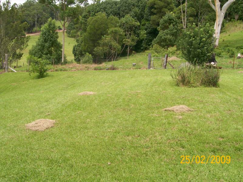 Lovely Uki Family Home Picture 2