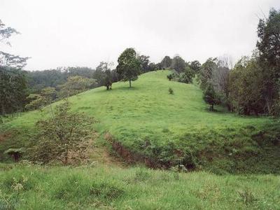 28 ACRES Picture