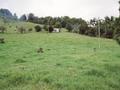 28 ACRES Picture