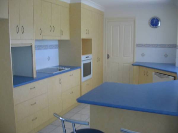 Modern Lowset with Shed Picture 3