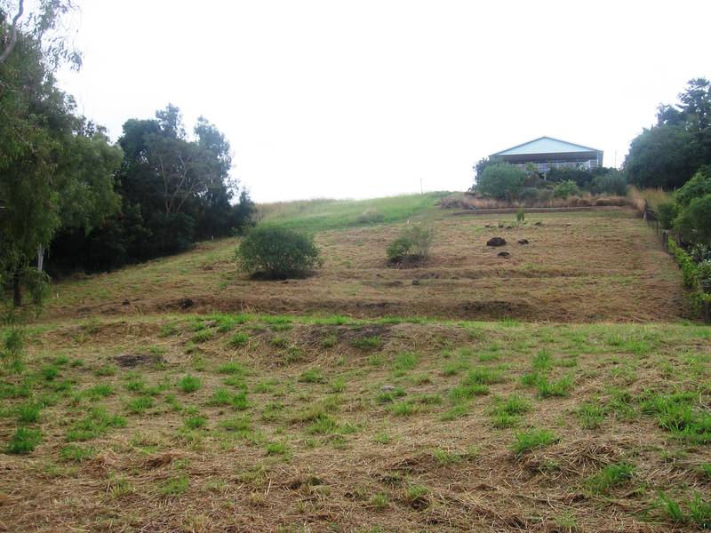 Cheap Building Blocks Picture 3