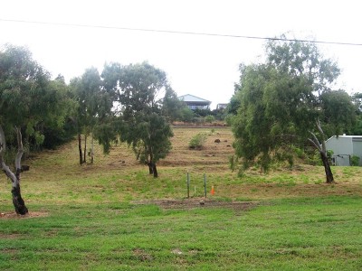 Cheap Building Blocks Picture