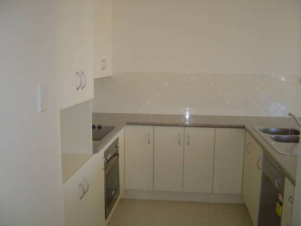 Brand New House-Size Unit Picture 3