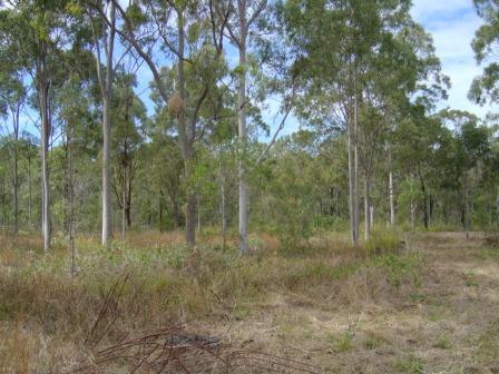 Acreage on the outskirts of Emu Park Picture 1