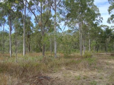 Acreage on the outskirts of Emu Park Picture