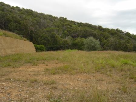 Views Forever Picture 1