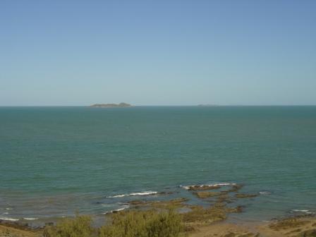 Pure Magic Picture 1