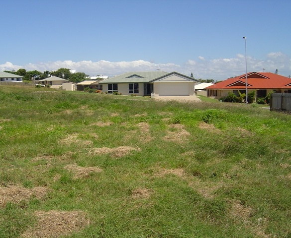 Affordable, Level Building Block Picture 1