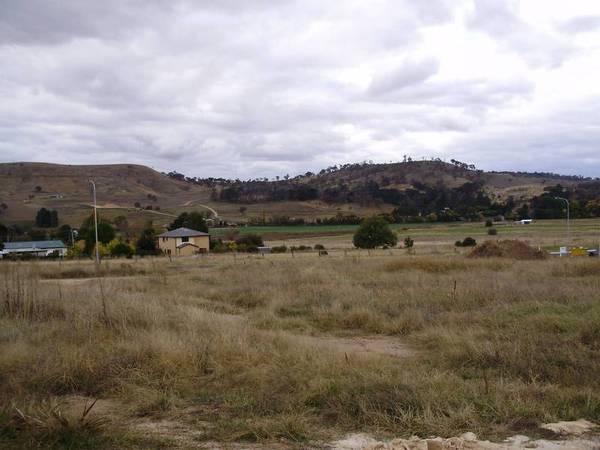 NEAR NEW AND AFFORDABLE Picture 2