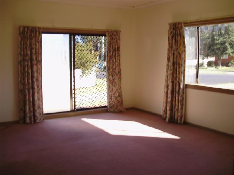 GREAT POTENTIAL Picture 3