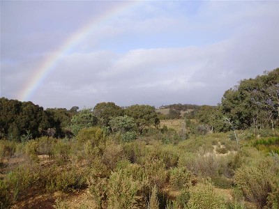 ACREAGE IN BLUE RIBBON LOCATION Picture