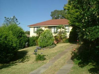 Renovated Kitchen Picture