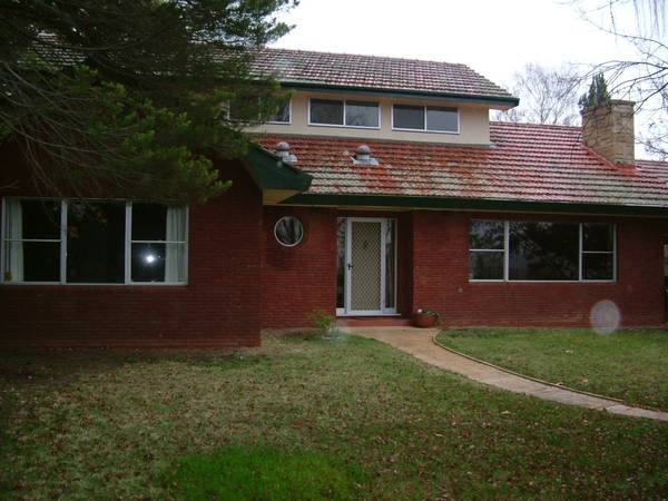 What more could you ask for Picture 1