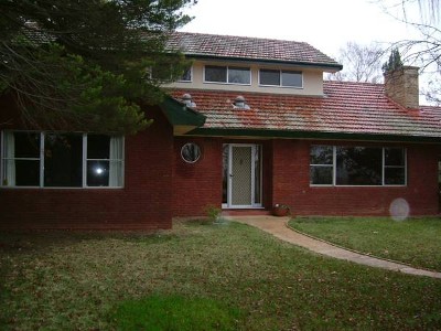 What more could you ask for Picture