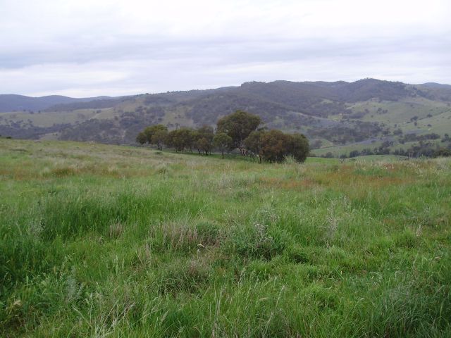 A RIVER RUNS THROUGH IT Picture 2