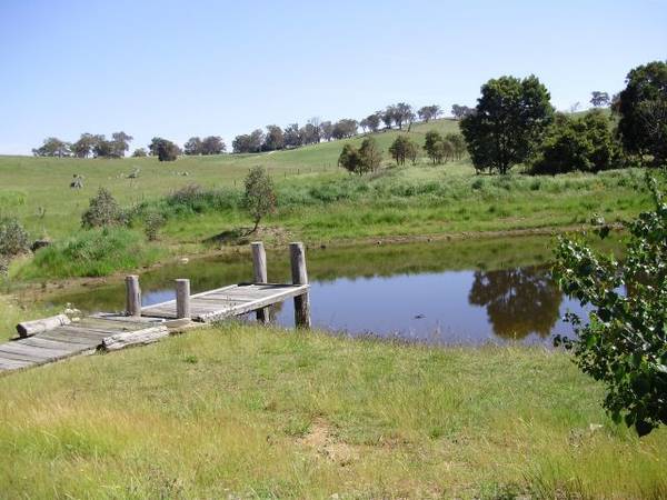 AFFORDABLE ACRES Picture