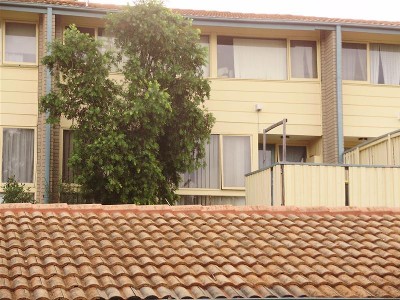 A GREAT DEAL WITH A GREAT VIEW Picture