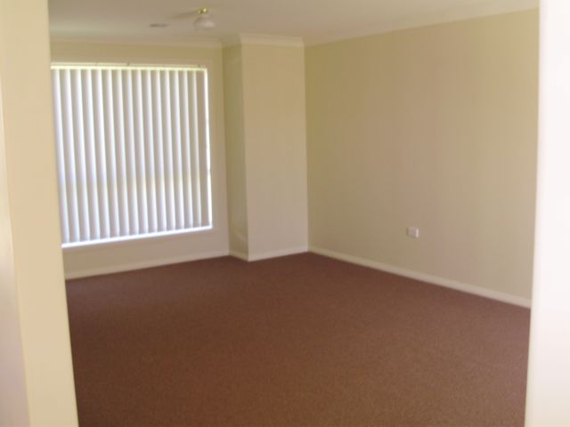 Immaculate Picture 3