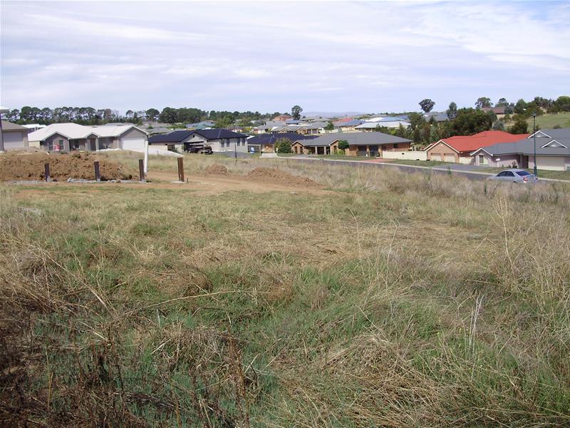 WELL WORTH A LOOK Picture 3