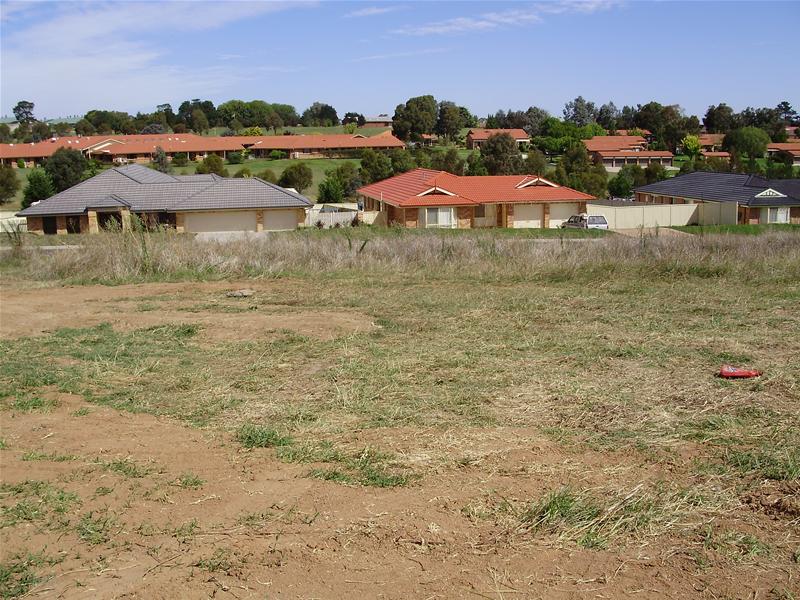 WELL WORTH A LOOK Picture 2