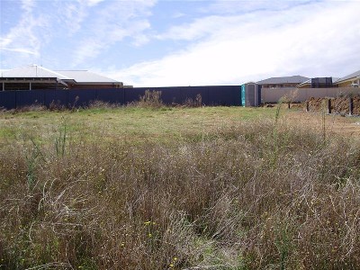 WELL WORTH A LOOK Picture