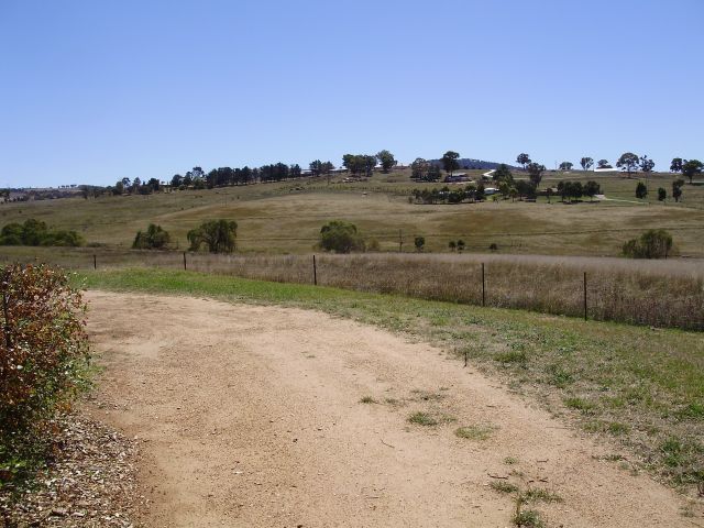 Mount Rankin Picture 3
