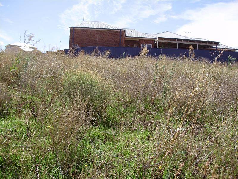 GREAT BLOCK - OR LAND/HOME PACKAGE Picture 3