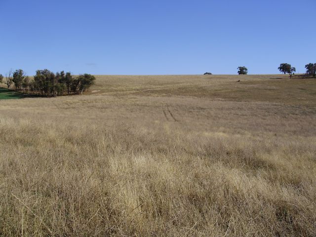 EXCEPTIONAL LIFESTYLE BLOCK Picture 2