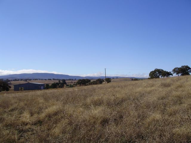 EXCEPTIONAL LIFESTYLE BLOCK Picture 3