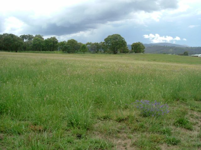 RURAL AT ITS BEST Picture 3