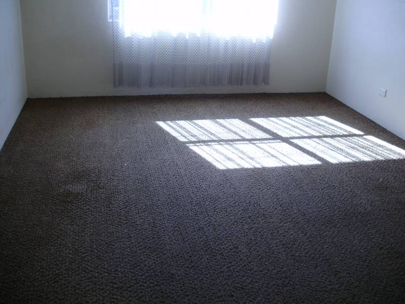 CLOSE TO C.B.D. Picture 3