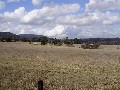 PRIME GRAZING COUNTRY Picture