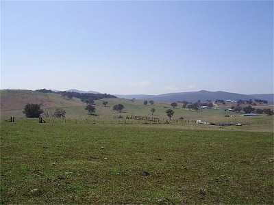 EXCELLENT GRAZING BLOCK Picture