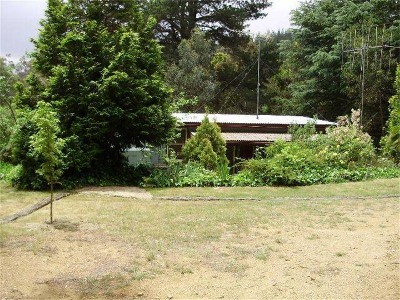 FEEL THE WARMTH Picture