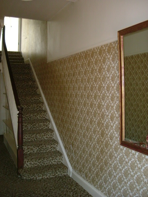 CLOSE TOC.B.D Picture 2