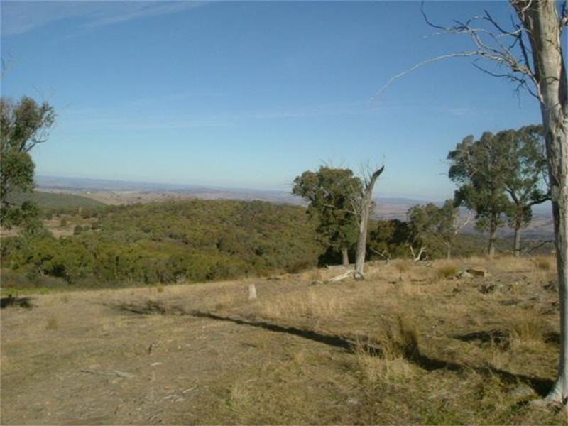 BELLA VISTA Picture 1