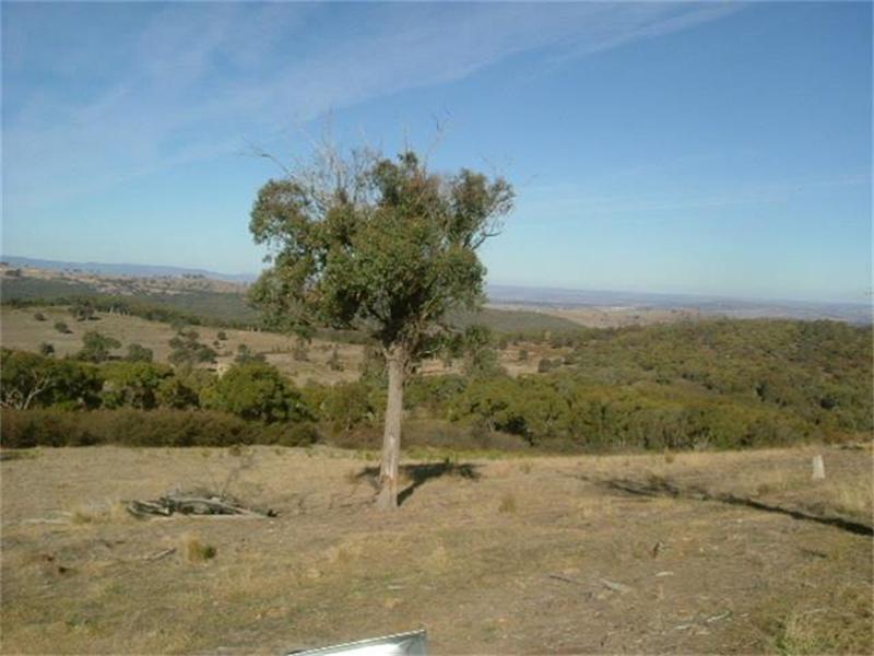 BELLA VISTA Picture 2