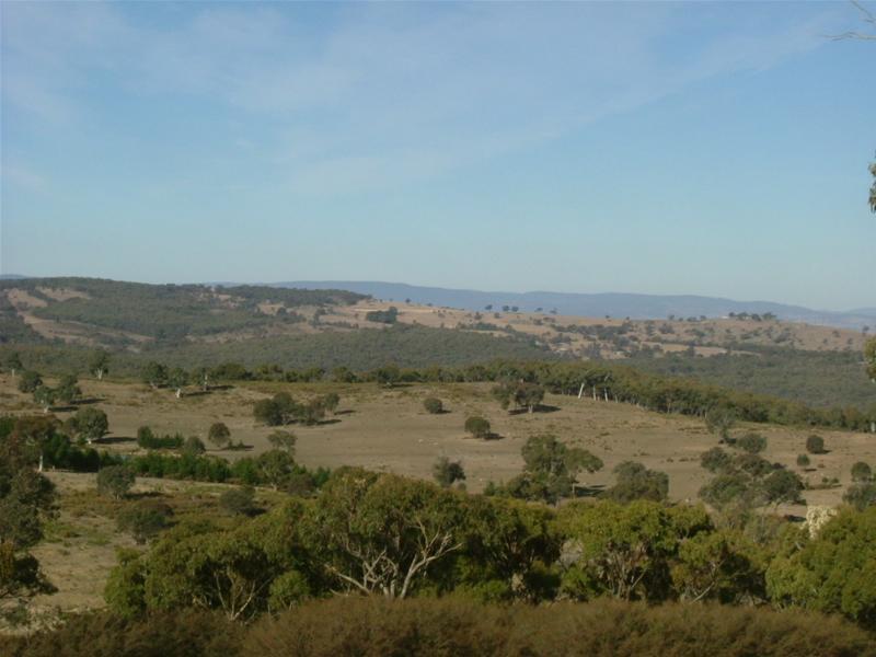 BELLA VISTA Picture 3