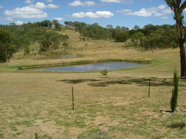 LITTLE PIECE OF COUNTRY Picture 2