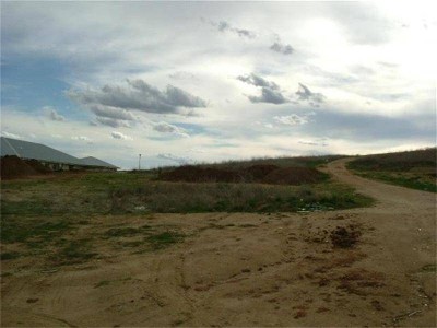 ONE OF THE LAST Picture